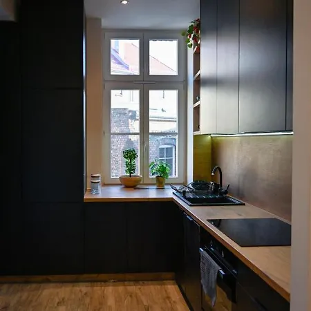 Loft Style Centrum Kosciuszki 34 Катовице