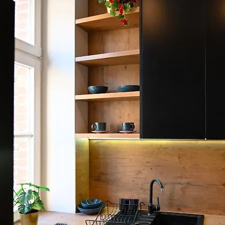 Апартаменты Loft Style Centrum Kosciuszki 34 Катовице