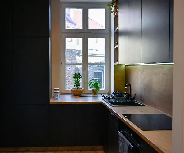 Loft Style Centrum Kosciuszki 34 Katowice